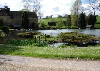 2007 rally picture 3