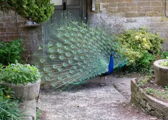 2007 rally picture 4