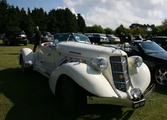 2009 rally picture 9