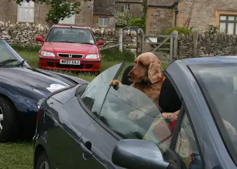 2011 rally picture 51