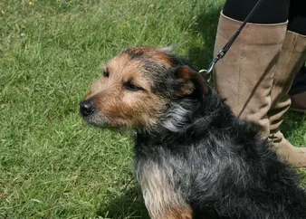 2011 rally picture 58