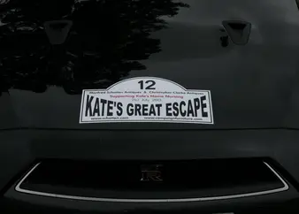 2013 rally picture 17