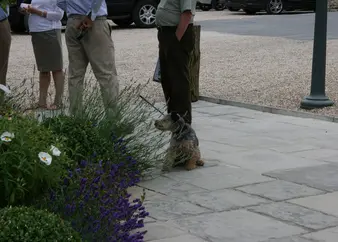 2013 rally picture 26