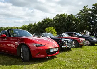 2017 rally picture 25